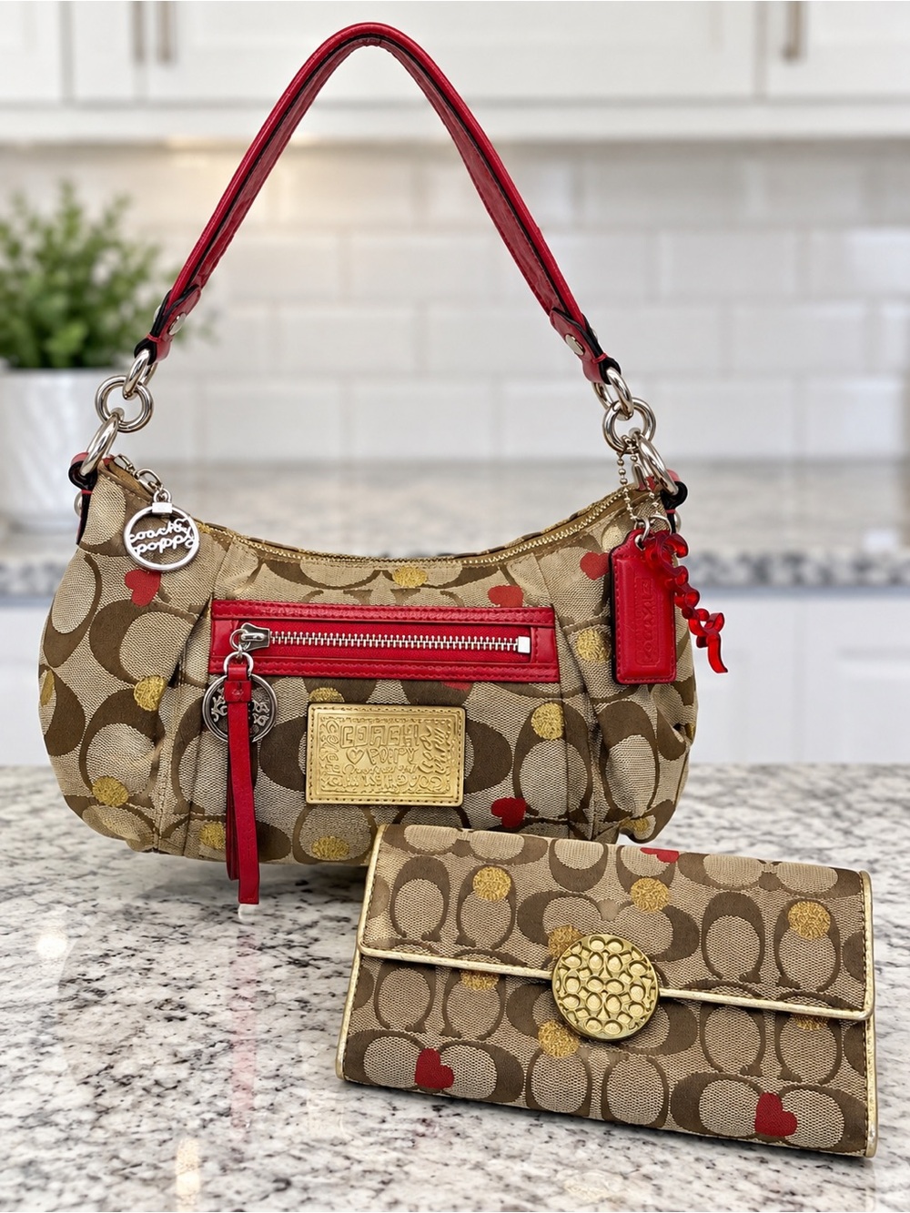 Coach Poppy Daisy Secret Admirer Signature Heart Shoulder Bag Wallet Set